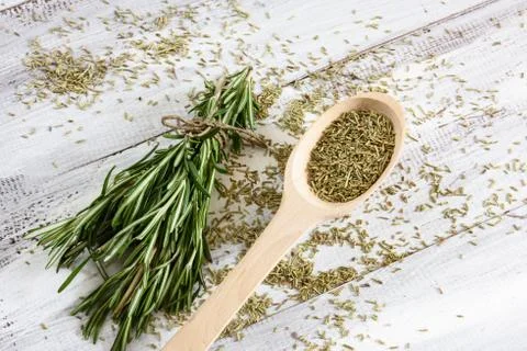 Rosemary 写真素材