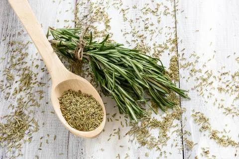Rosemary 写真素材
