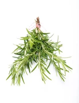 Rosemary Stock Photos