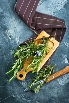 Rosemary Stock Photos