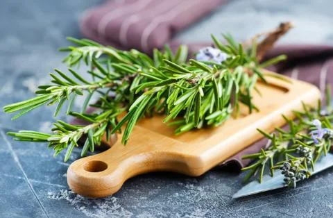Rosemary Stock Photos