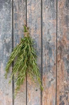Rosemary Foto stock