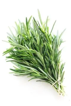 Rosemary Stock Photos