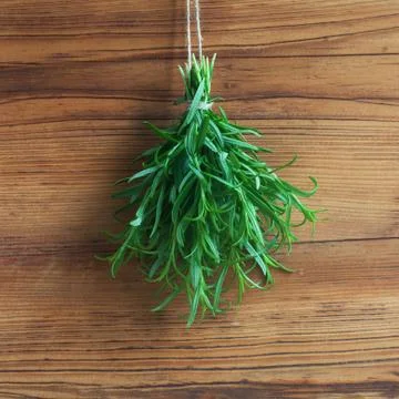 Rosemary Stock Photos