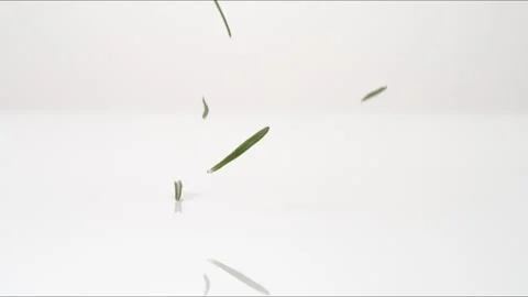 Rosemary Pieces Macro Bouncing Slow Motion White Tabletop Closeup Macro Food Stock Footage 335004846