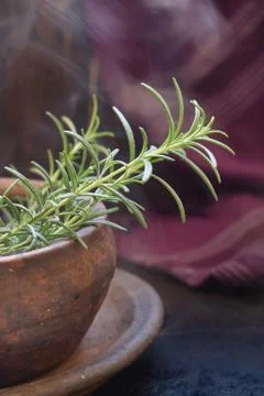 Rosemary on rustic background Stock Photos