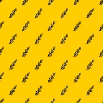 Rosemary spice pattern vector Stock Illustration