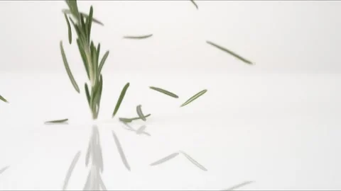 Rosemary Sprigs Macro Bouncing Slow Motion White Tabletop Closeup Macro Food Stock Footage 335004929