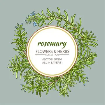 Rosemary vector frame Illustrazione stock
