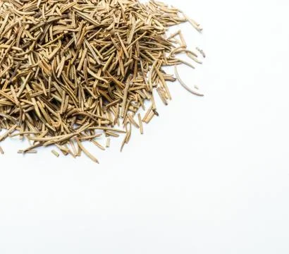 Rosemary on white background. Stock Photos
