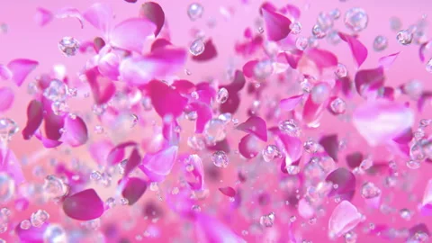 RosePetalsLeftB01 Video stock 149479811