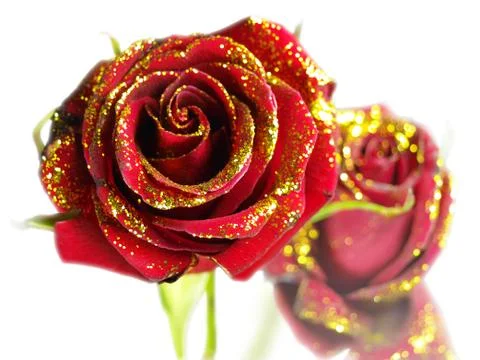 Roses 01 Stock Illustration