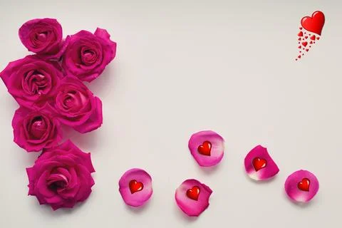 Roses-22 Stock Photos
