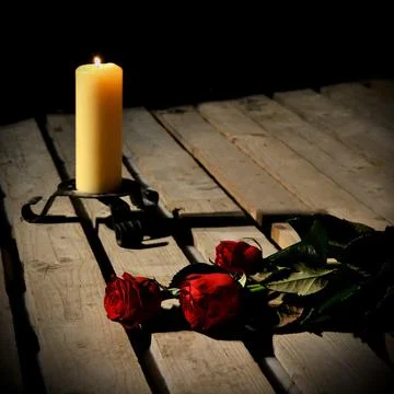 Roses and a candle on a background of wooden planks Stock Photos