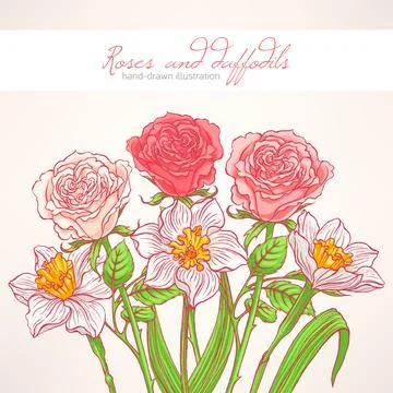 Roses and daffodils Stock Illustration