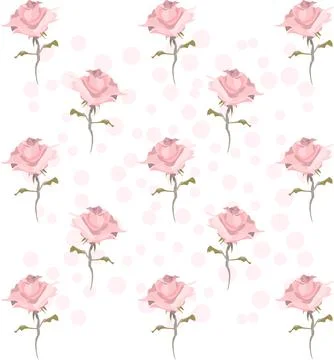 Roses And Dots Vector Seamless Pattern In Pink And White Stock Illustration