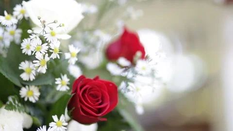 Roses And Flowers Stock Footage 104783746