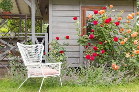 Roses and herb garden outside a country house, red ang orange roses bush Stock Photos