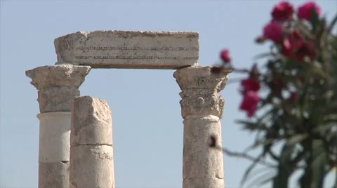 Roses and pillars shift focus 스톡 동영상 58494791