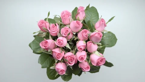 Roses and presents. 18 Stock Footage 101639803