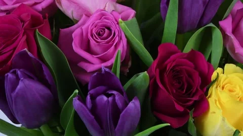 Roses and Tulip flowers Stock Footage 131398505