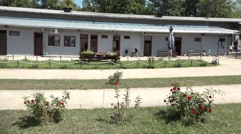 Roses and yard Video stock 65780376