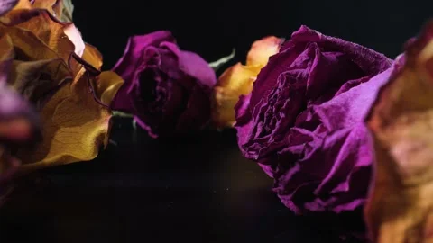 The roses are on the black table. The camera moves smoothly past. Close up Stock Footage 144334623