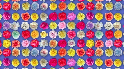 Roses background rotation animation Stock Footage 57471543