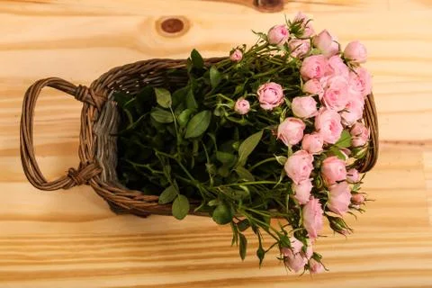 Roses in a basket Stock Photos