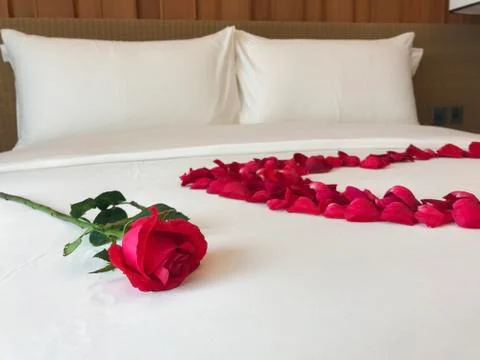 Roses on the bed Foto stock
