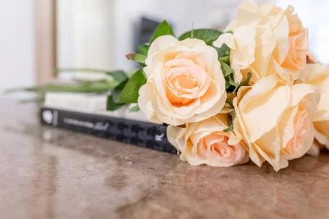 Roses on book Stock Photos