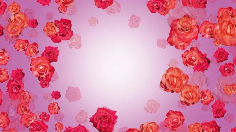 Roses CG animation Vidéo 30444417