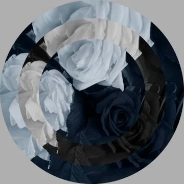 Roses circles Stock Photos