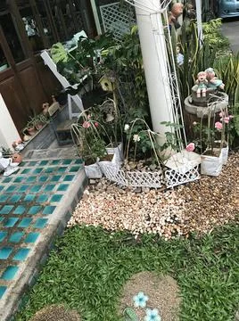 Roses corner Stock Photos