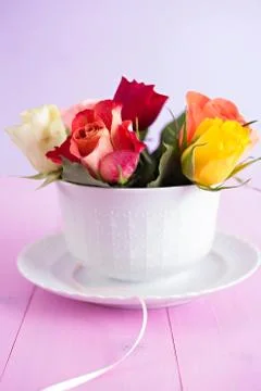 Roses in cup Stock Photos