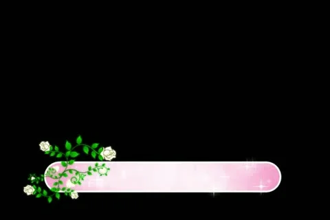 Roses DeVine Flourish Lower Third Stock Footage 10875062