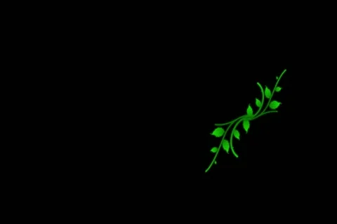 Roses DeVine Flourish Motion Design Element 01 Widescreen Stock Footage 10875127