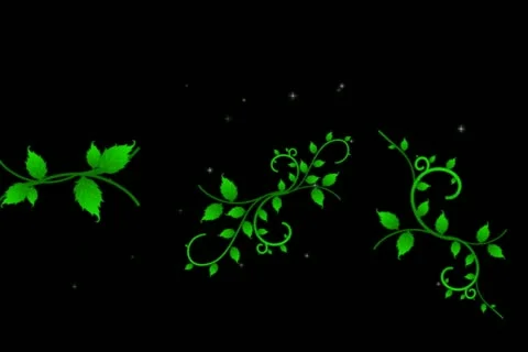 Roses DeVine Flourish Wipe Stock Footage 10875067