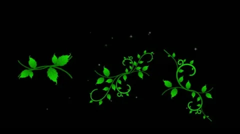 Roses DeVine Flourish Wipe HD Stock Footage 10875002