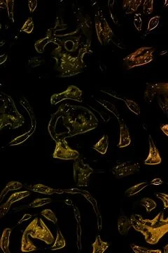 Roses drawing pattern Stock Illustration