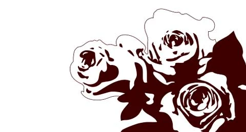 Roses drawing on white background Stock Illustration