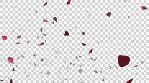 Roses fall to the bottom (Alpha channel) VFX element  Stock Footage