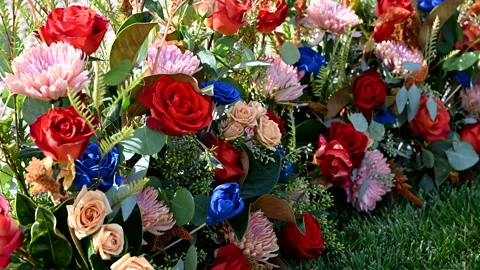 Roses Fall Color Scheme Stock-Footage 289556764