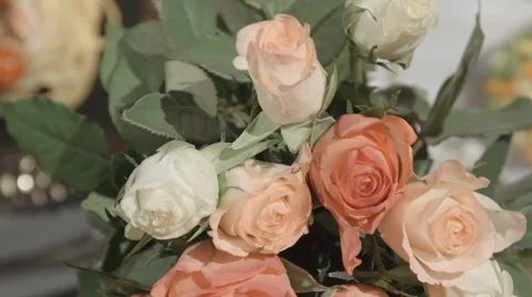 Roses on a fancy dinner table Stock Footage 61078860