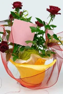 Roses in flowerpot Stock Photos