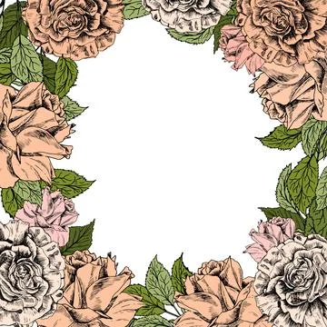 Roses flowers wreath. Vector border frame. Peach fuzz. Hand drawn sketch artwork Stock Illustration