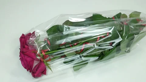 Roses Stock Footage 102175634