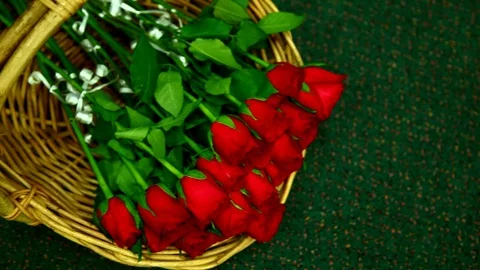 Roses Stockbeeldmateriaal 113378835