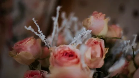 Roses Stock Footage 119521331