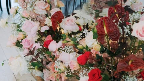 Roses Stock Footage 120056612